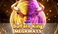 Buffalo King