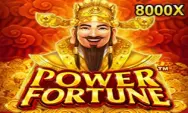 Power Fortune